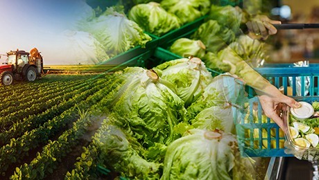 Intelligent food industry solutions.
